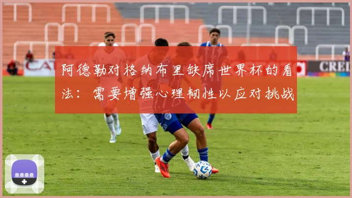 阿德勒对格纳布里缺席世界杯的看法：需要增强心理韧性以应对挑战