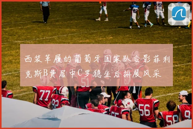 西装革履的葡萄牙国家队合影菲利克斯B费居中C罗稳坐后排展风采